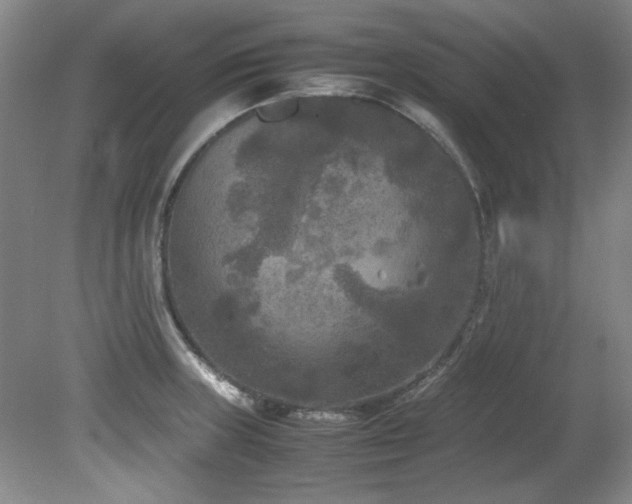 X0000082171235200701191259