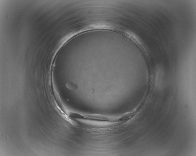 X0000082171236200701191259