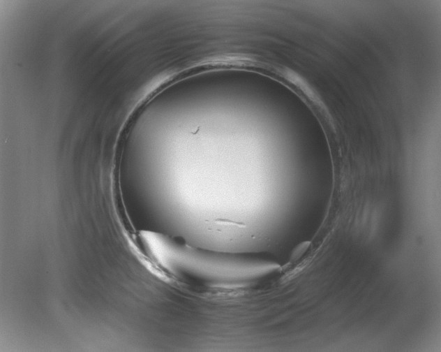 X0000082171237200701191259