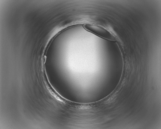 X0000082171238200701191259