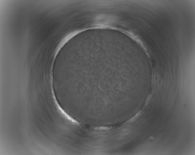 X0000082171239200701191259