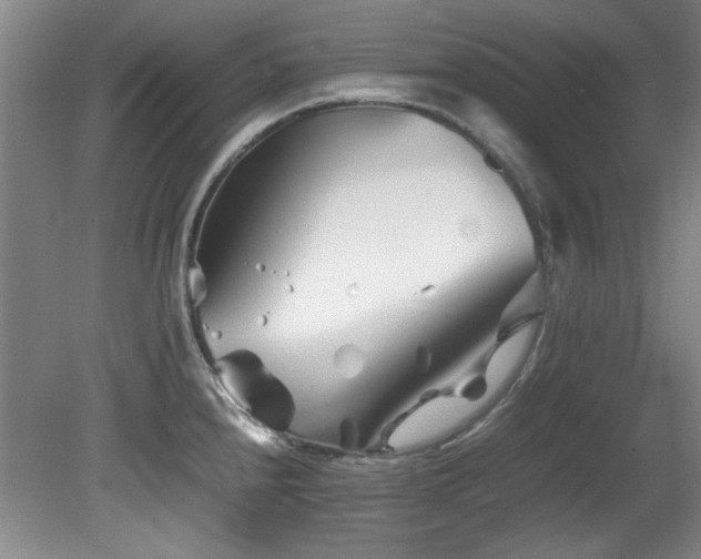 X0000082171240200701191259