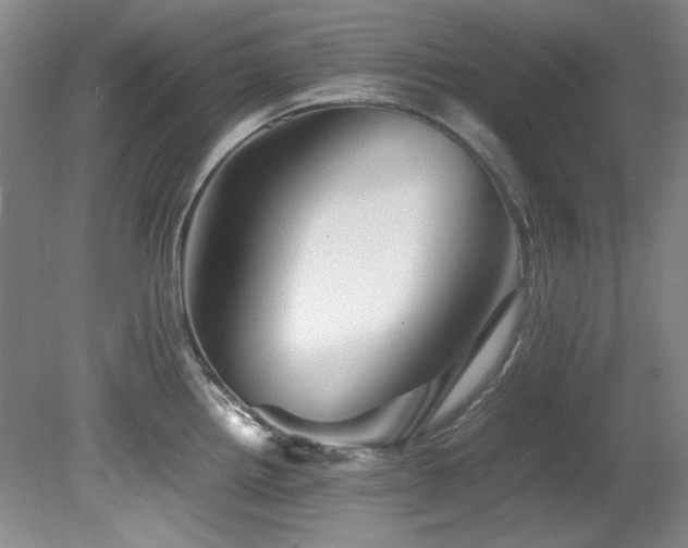 X0000082171242200701191259