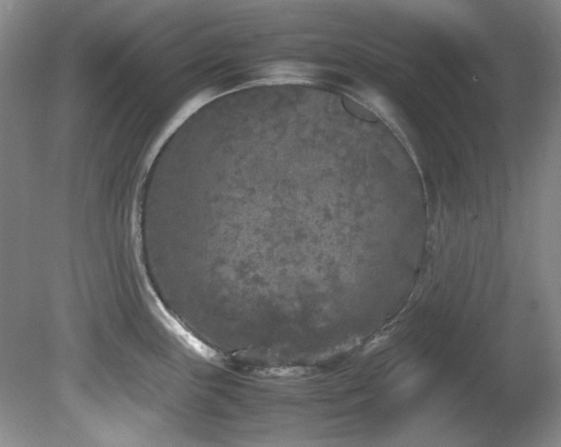 X0000082171243200701191259