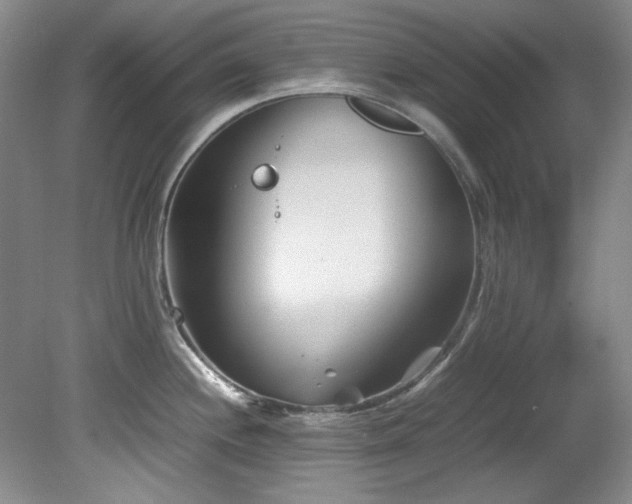 X0000082171244200701191259