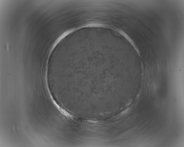 X0000082171245200701191259