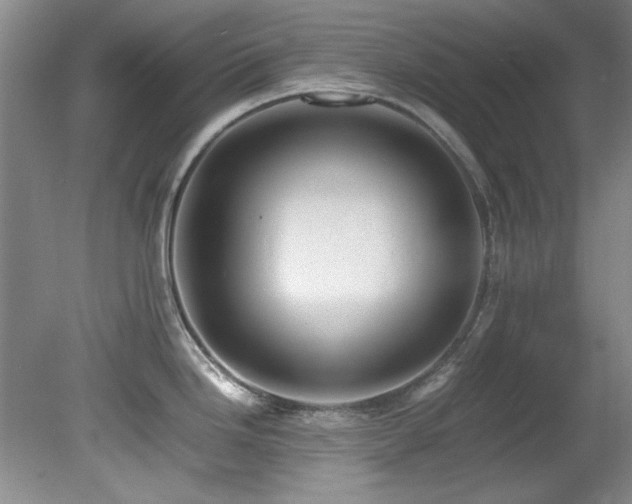 X0000082171246200701191259