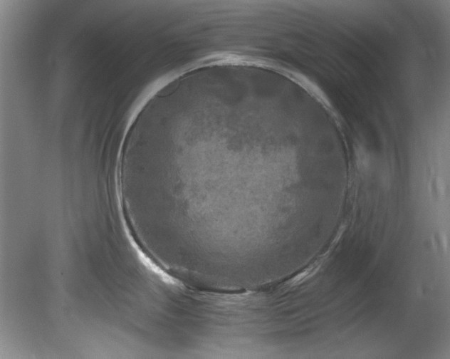 X0000082171247200701191259