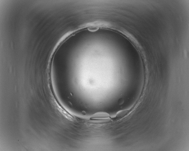 X0000082171248200701191259