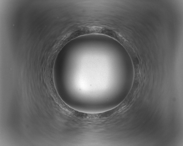 X0000082171249200701191258