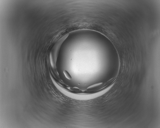 X0000082171250200701191258