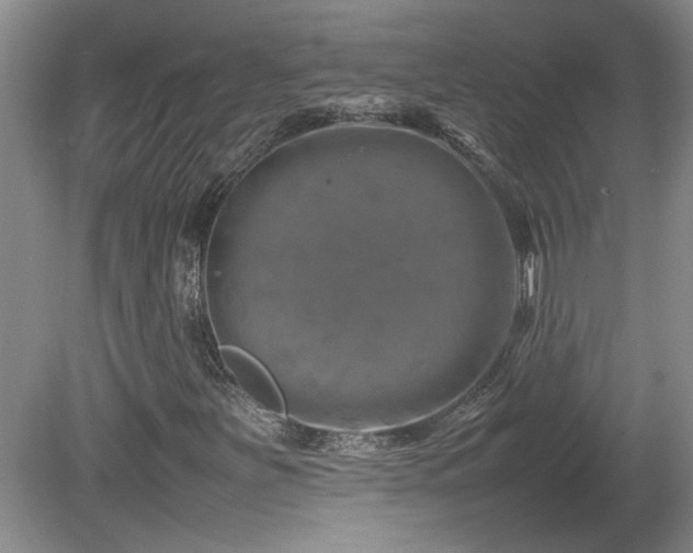 X0000082171251200701191258