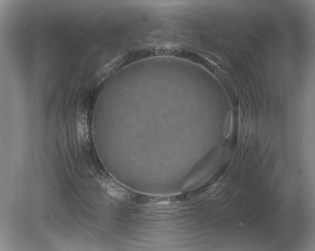 X0000082171252200701191258