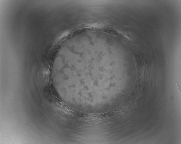 X0000082171254200701191258