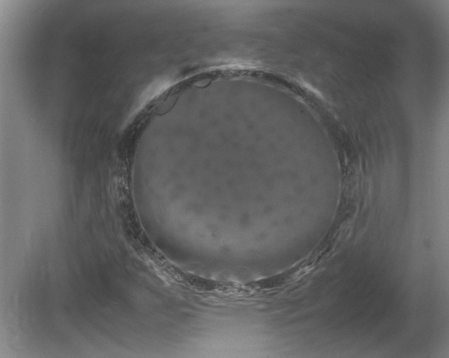 X0000082171255200701191258