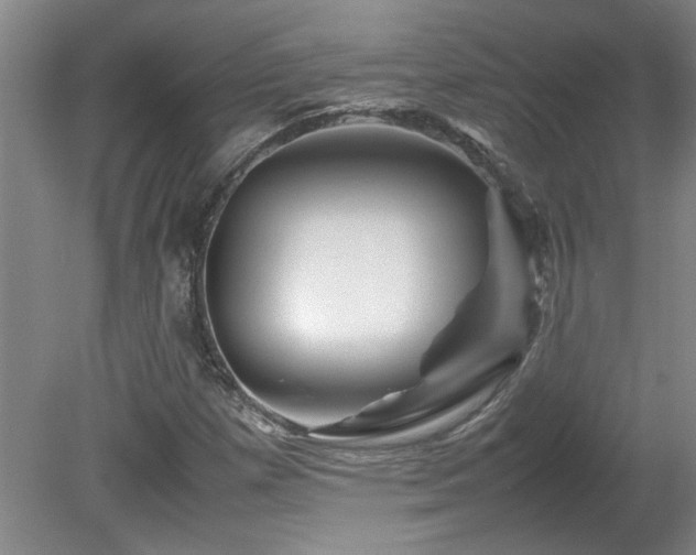 X0000082171257200701191258