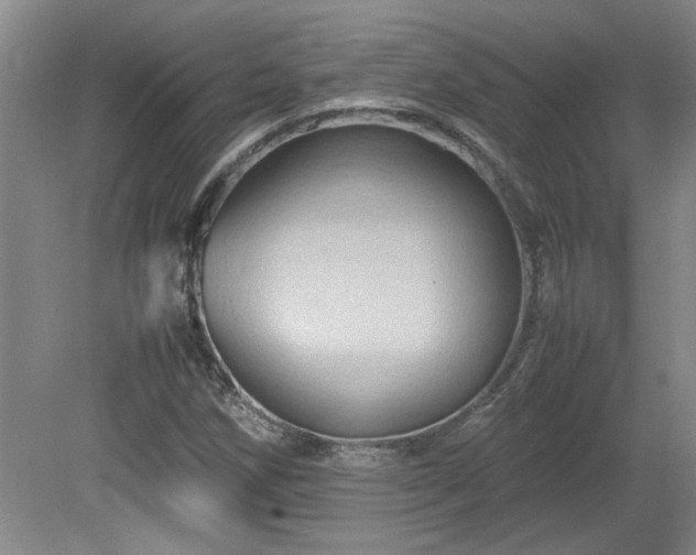 X0000082171258200701191258