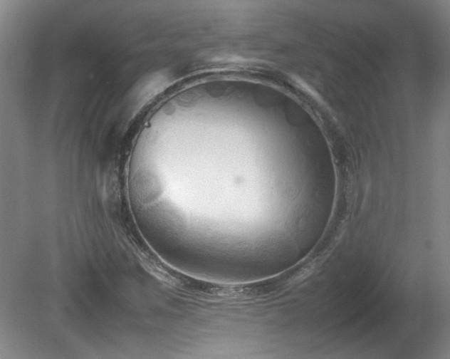 X0000082171259200701191258