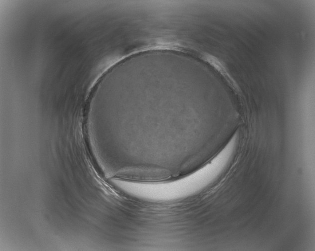 X0000082171260200701191258