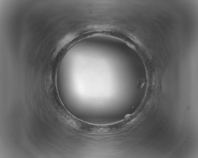 X0000082171261200701191258