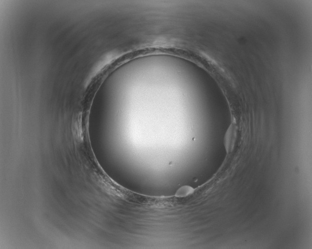 X0000082171262200701191258