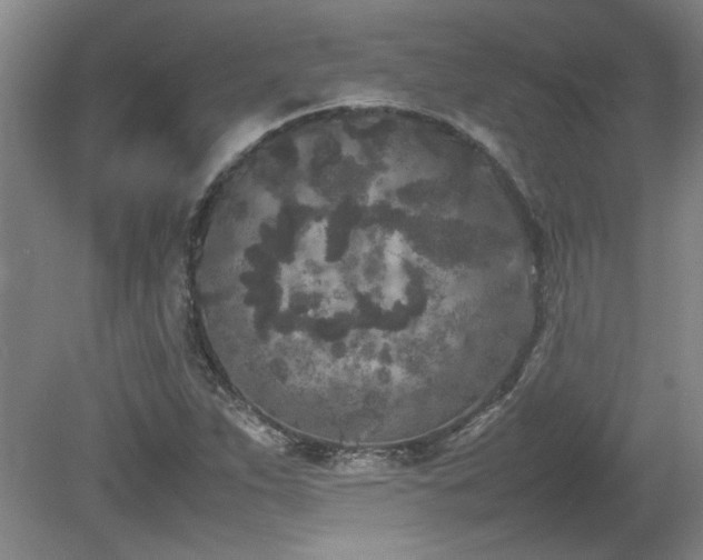 X0000082171263200701191258