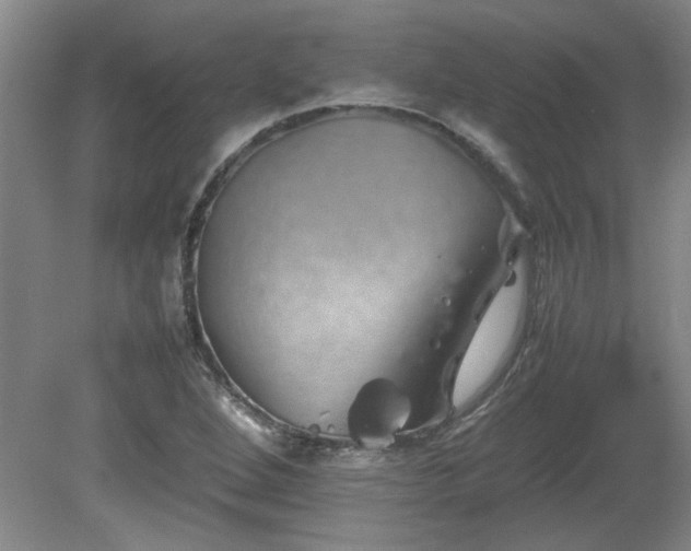 X0000082171264200701191258