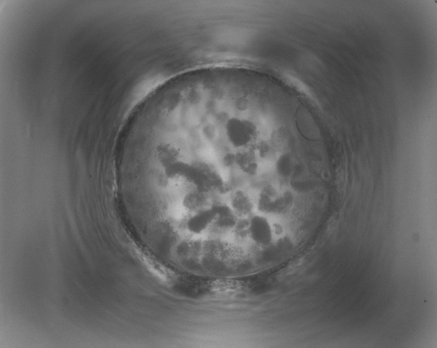 X0000082171267200701191258