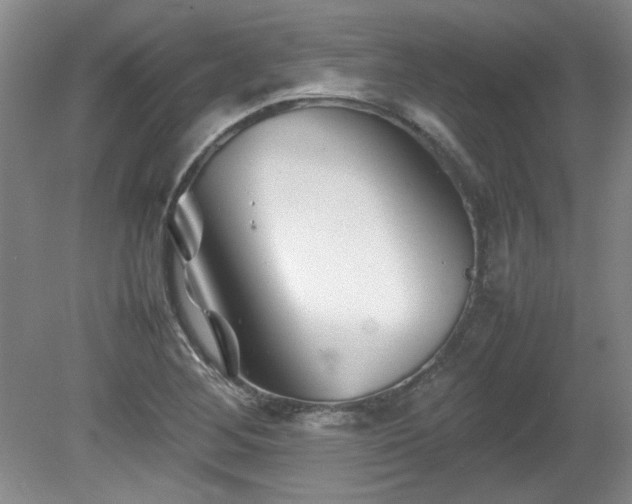 X0000082171268200701191258