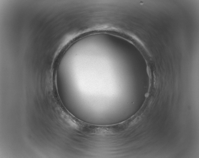 X0000082171270200701191258