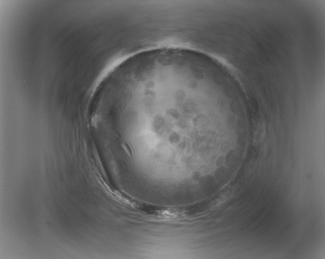 X0000082171271200701191258