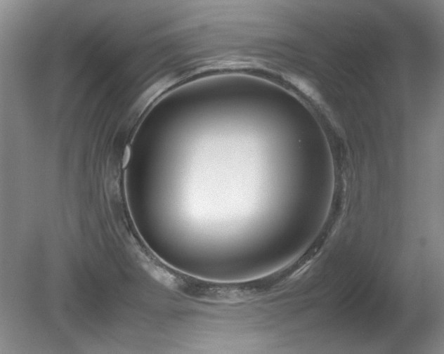 X0000082171273200701191258