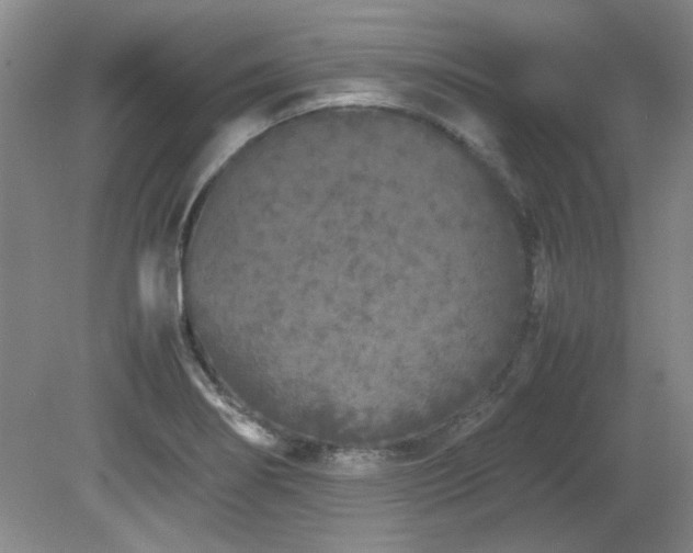 X0000082171274200701191258