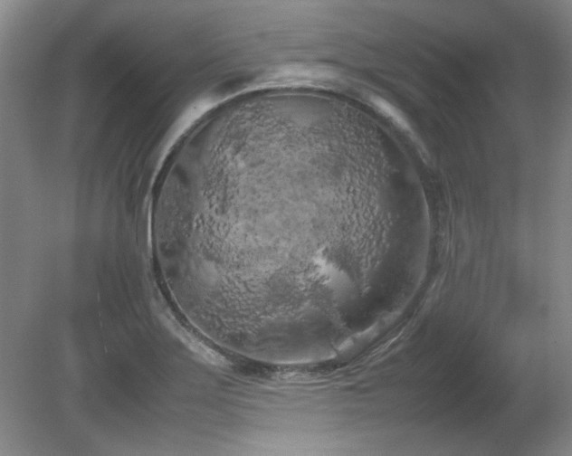 X0000082171275200701191258