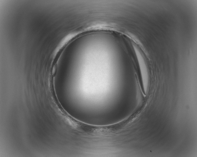 X0000082171277200701191258