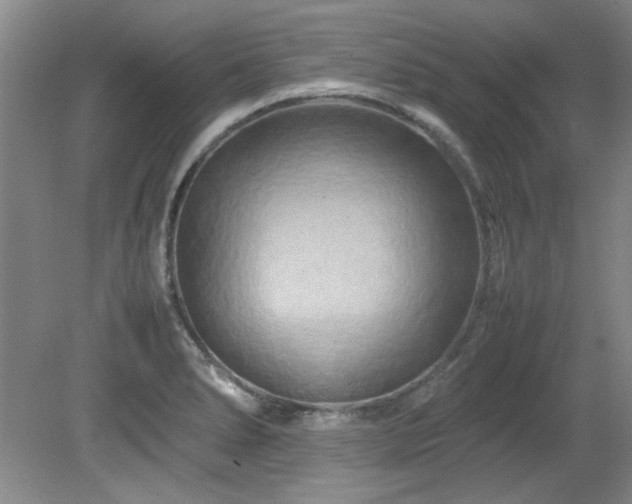 X0000082171278200701191258