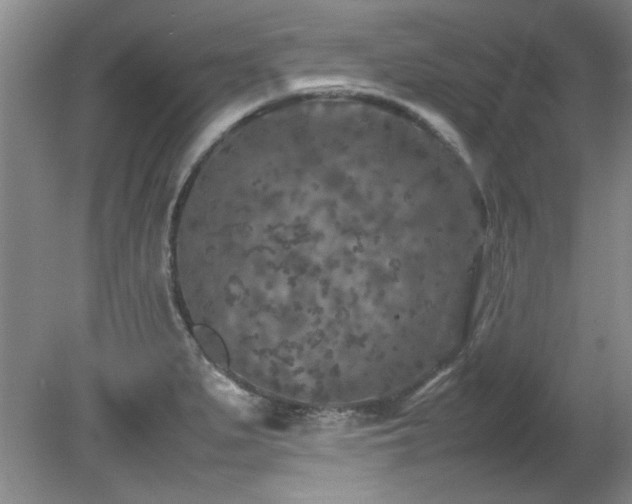 X0000082171279200701191258