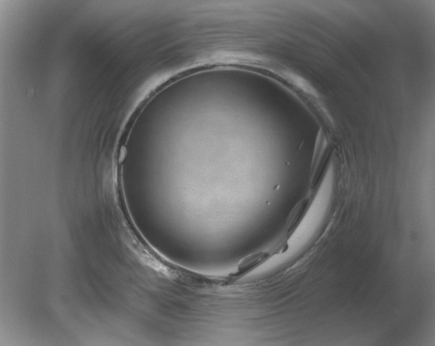 X0000082171280200701191258