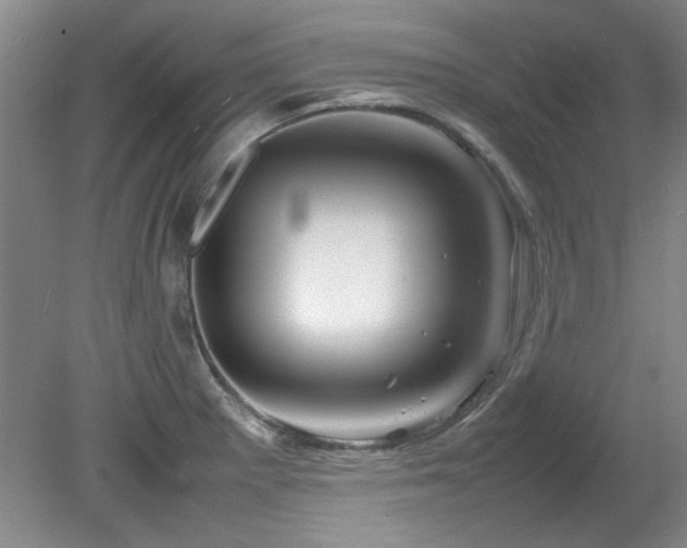 X0000082171281200701191258