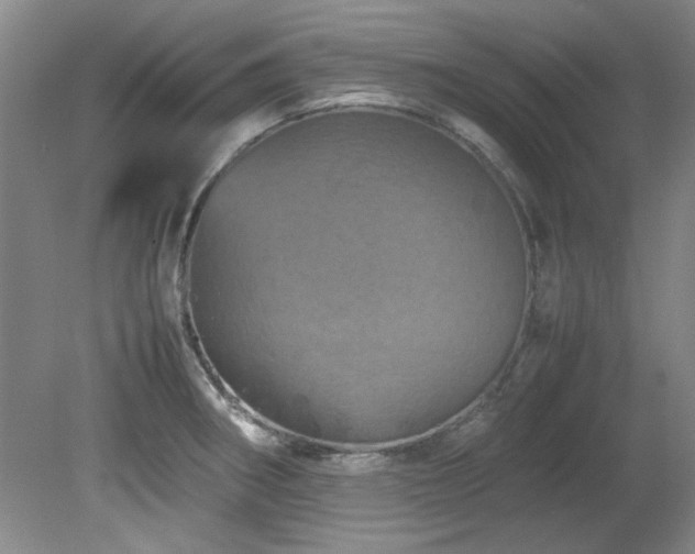 X0000082171282200701191258