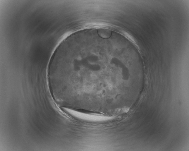 X0000082171283200701191258