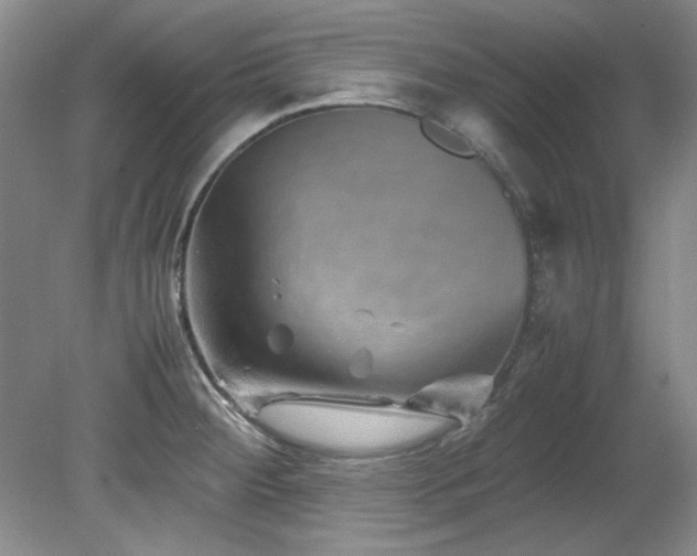 X0000082171284200701191258