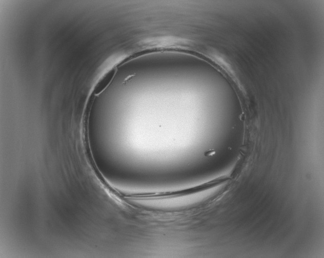 X0000082171285200701191258