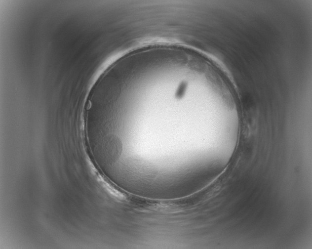 X0000082171287200701191258