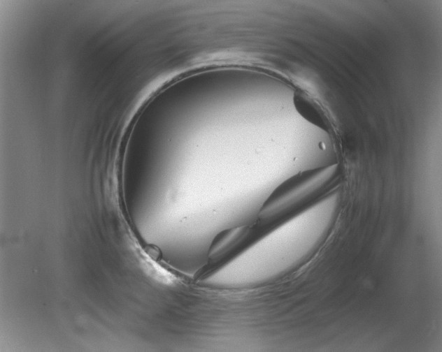 X0000082171288200701191258