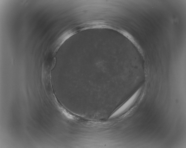 X0000082171289200701191258