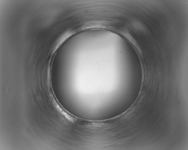 X0000082171290200701191258