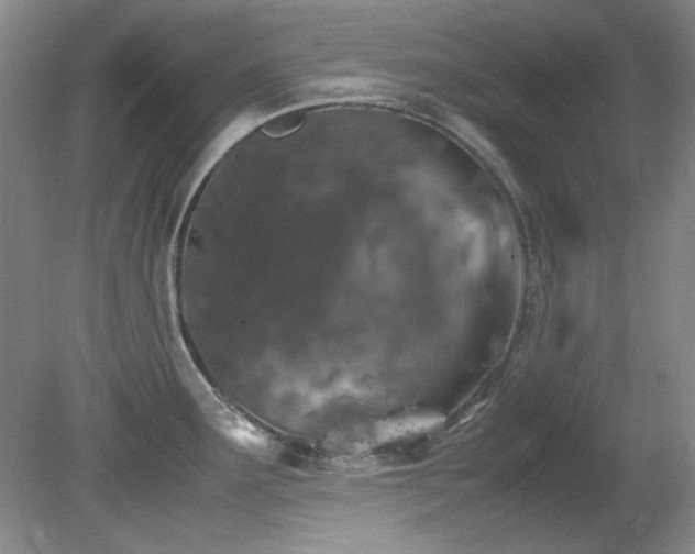 X0000082171291200701191258