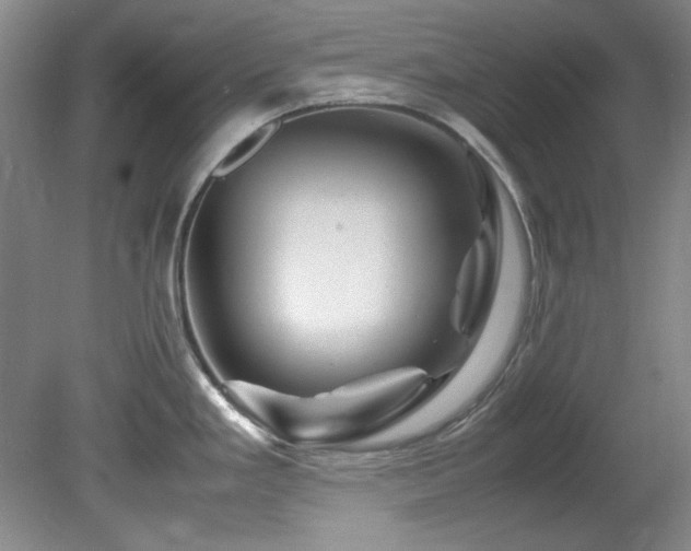 X0000082171293200701191258