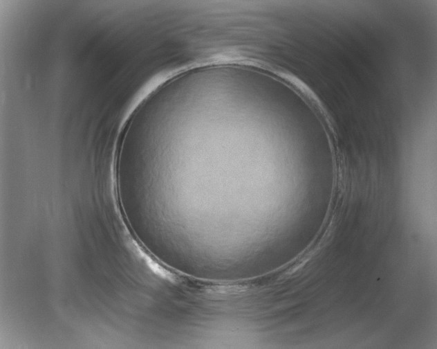 X0000082171294200701191258